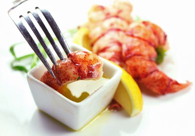 Dipping a piece of sous vide lobster into melted butter