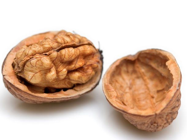 22100414-walnuts.jpg