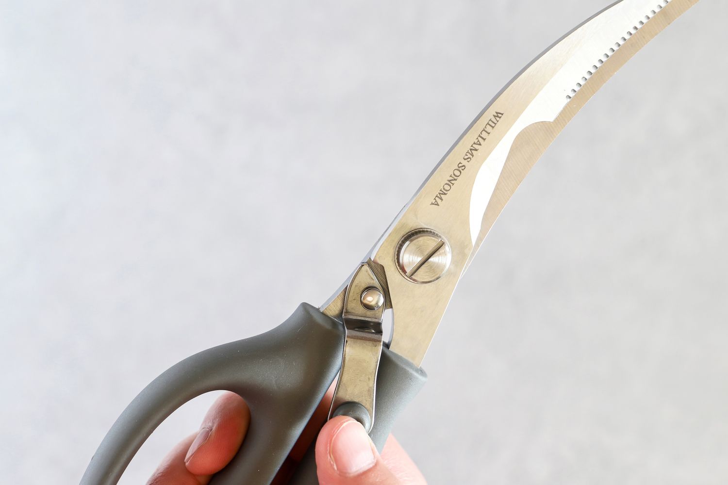 Williams Sonoma poultry shears held in a hand with a thumb on its levered lock