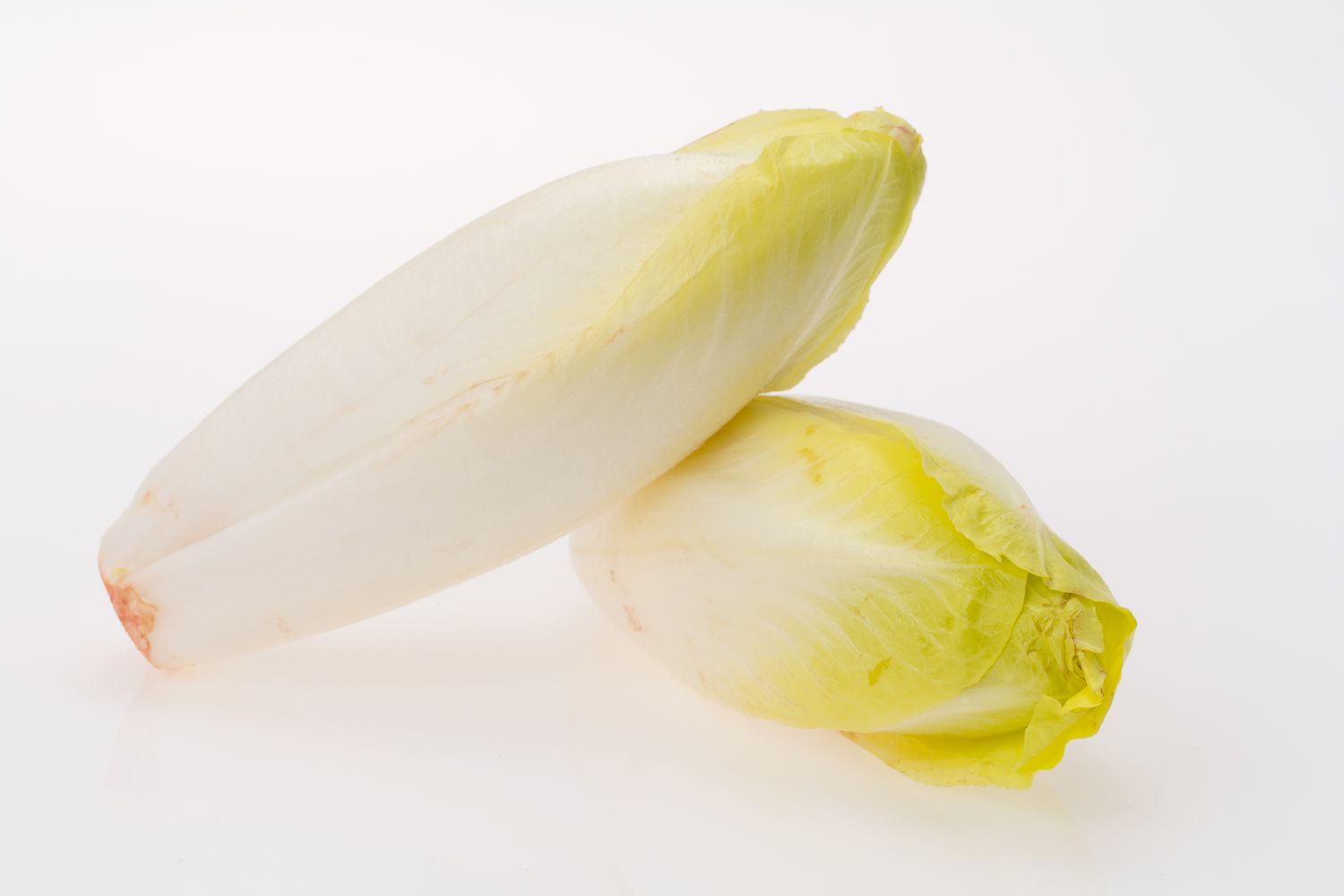 Endive