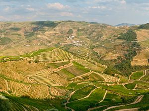 Thumbnail image for portugal douro valley