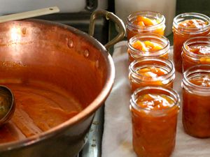 20140811-jam-101-apricot-jars-jennifer-latham.jpg