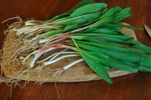 Ramps resting on a wooden cutting board.