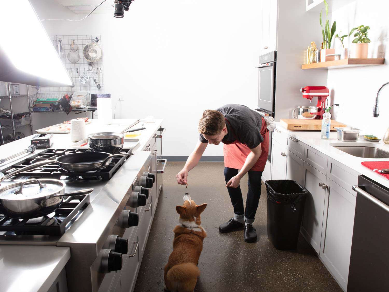 A dog named Barnaby getting fed some duck by Sasha Marx in the Serious Eats test kitchen
