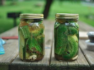 Two jars of packed and sealed garlic dill pickles on a wooden picnic table.