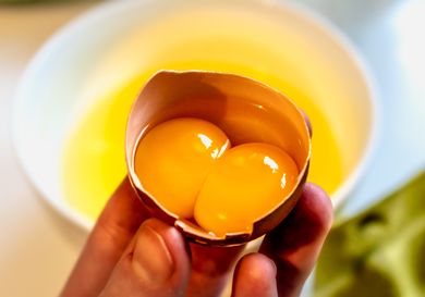 Double egg yolks held in a cracked eggshell with a bowl in the background