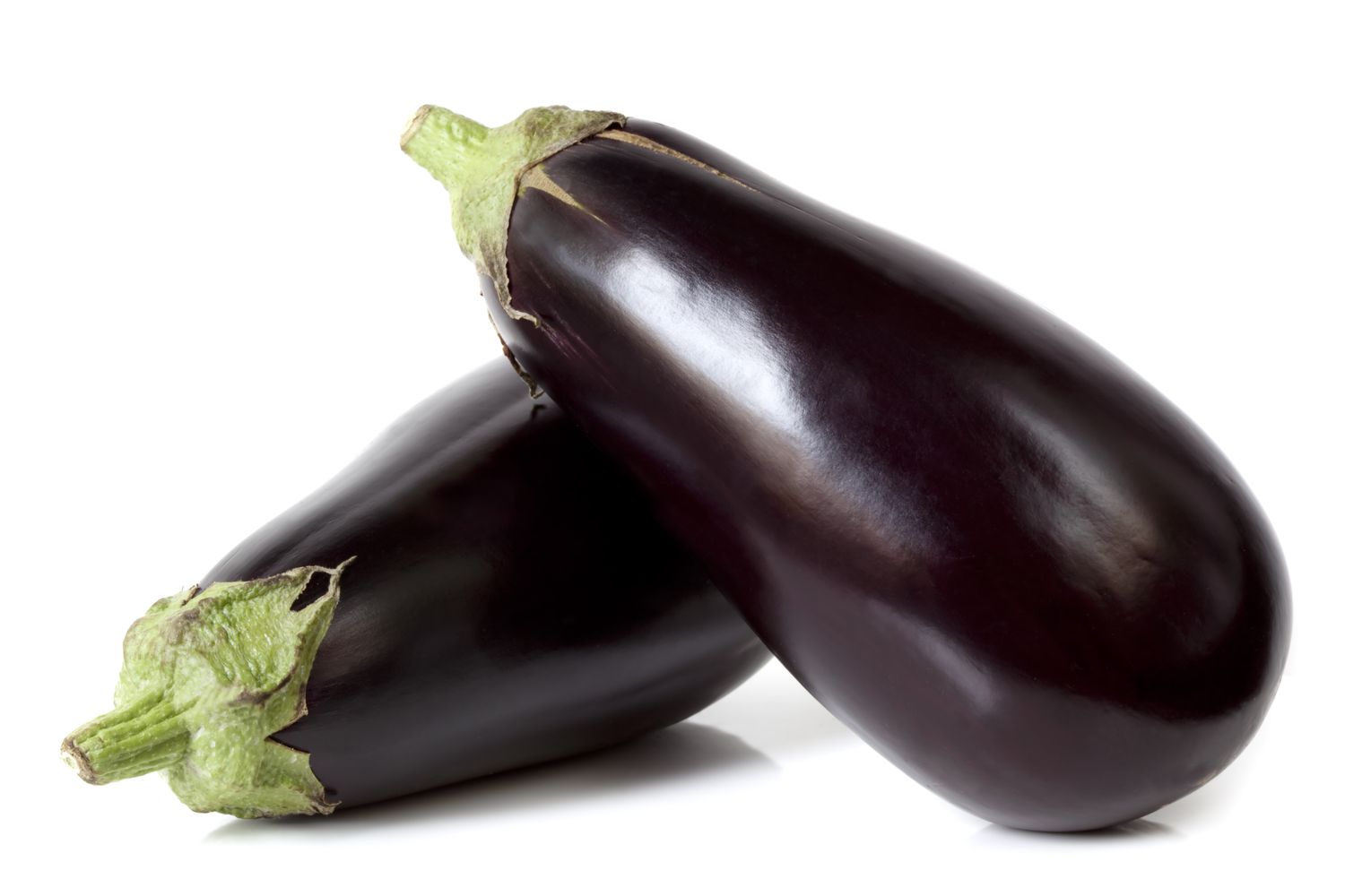 American eggplant