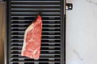 raw piece of meat on the hamilton beach grill