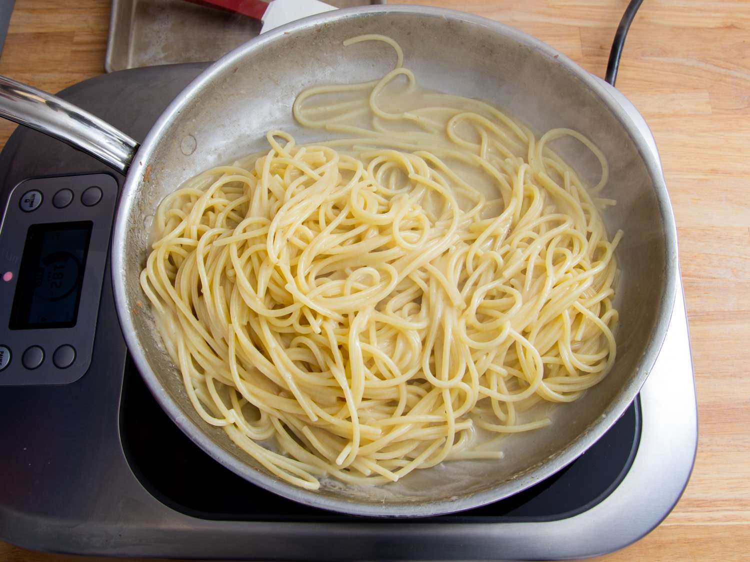 20210218-burro-e-alici-sasha-marx-12