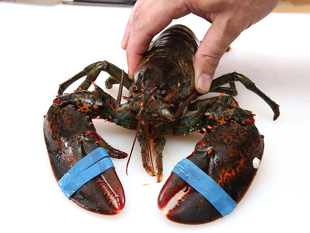 20130527-lobster-hard-versus-soft1.jpg