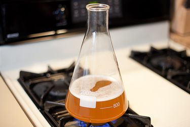 20140625-Yeast-Starter-Homebrew-610-2.jpg