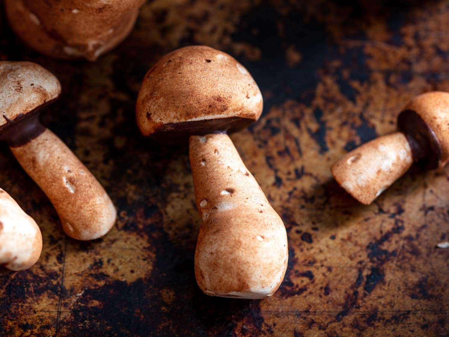 Close up of the rounded cap and angled stem of a porcini-like meringue mushroom