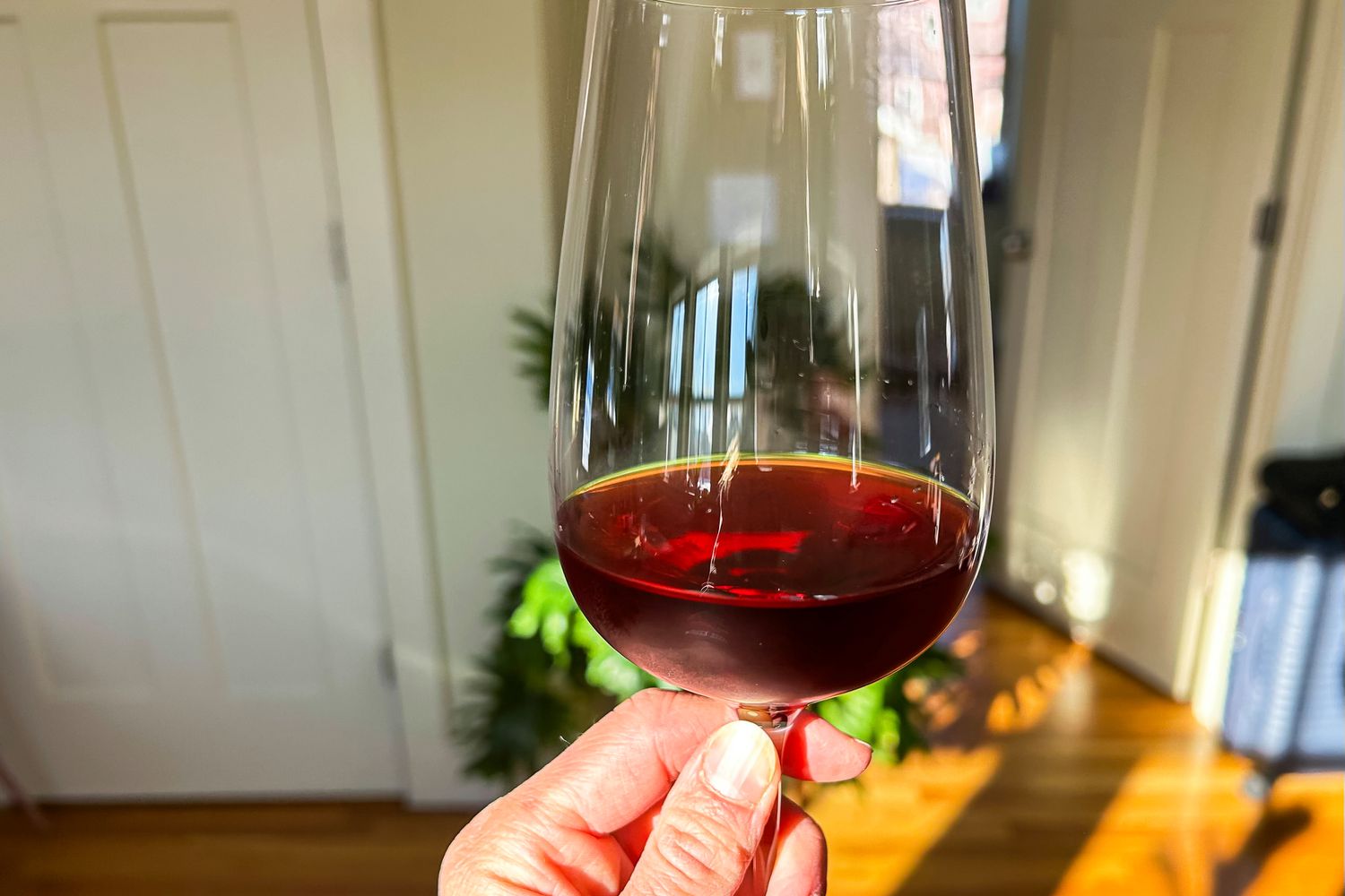 A hand holding a glass of nonalcoholic red wine