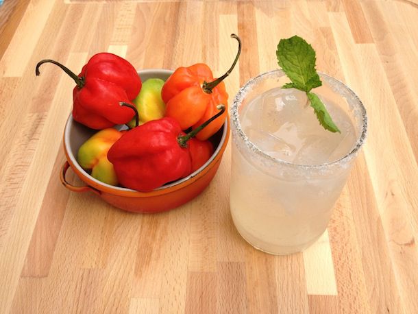 A bowl of Habanero peppers and a salt-rimmed glass of cocktail, garnished with mint. 