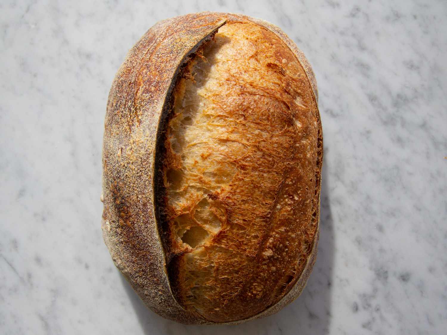 20201212-Sourdough-Batard-sasha-marx-1