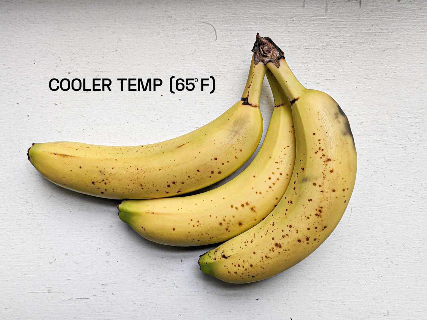 Bananas stored in cooler temps were still visibly ripened after 3 days but not as dramatically as the control group stored 10 degrees warmer.