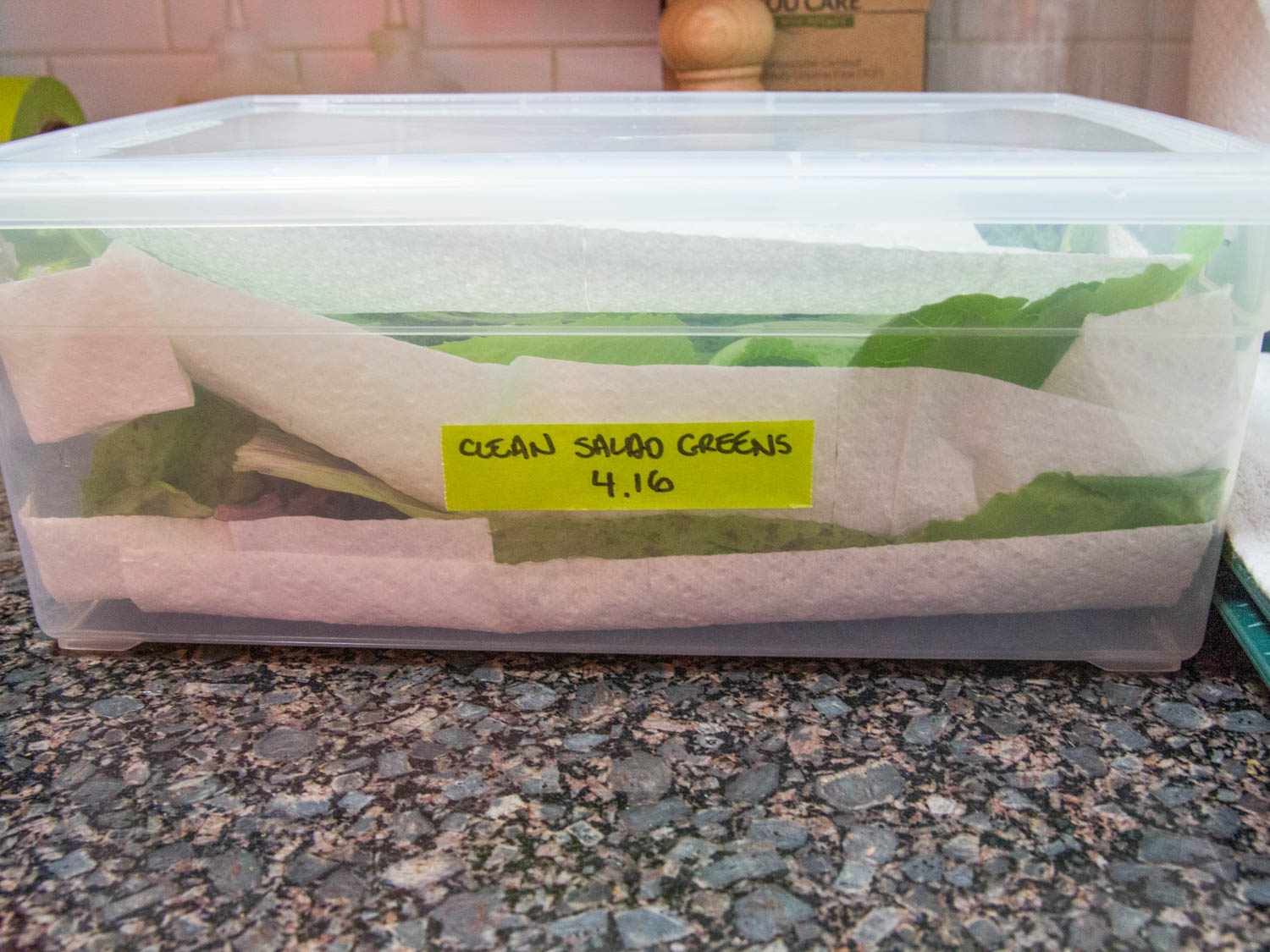 A plastic box filled with clean salad greens.