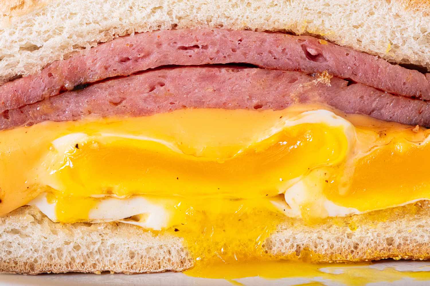 Pork roll half up close.