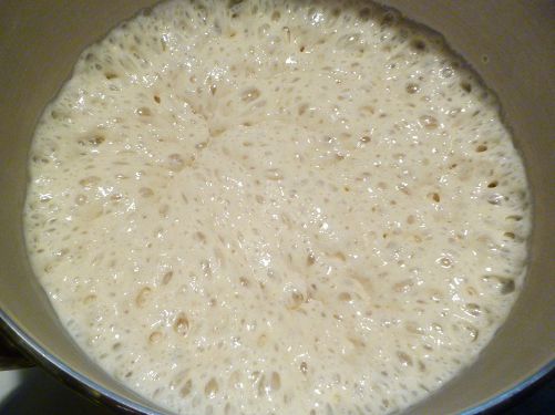 201104190bread-baking-bubbly.JPG