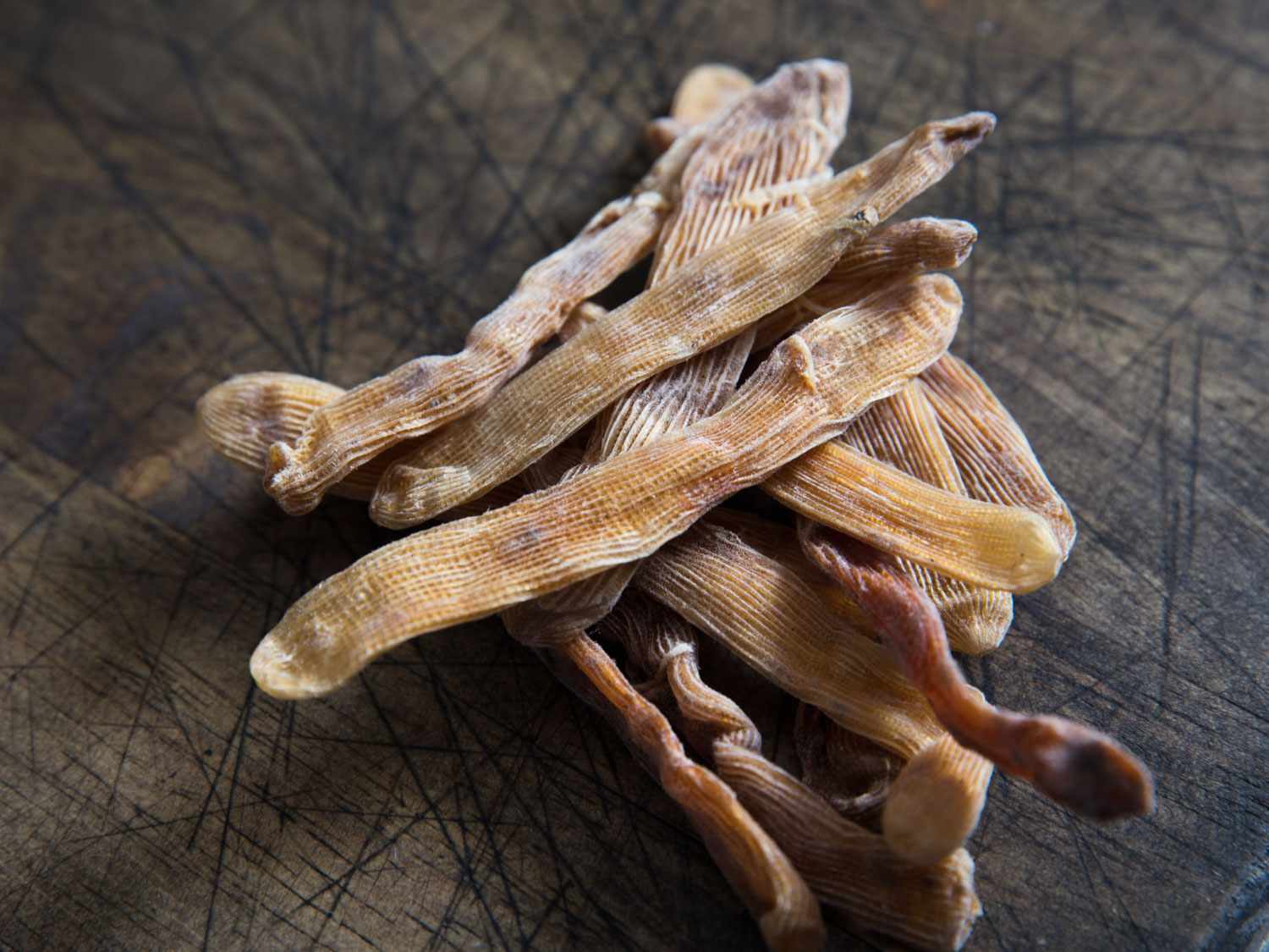 20190319-pho-worms-vicky-wasik-2