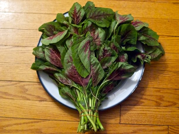 En choy resting on a plate 