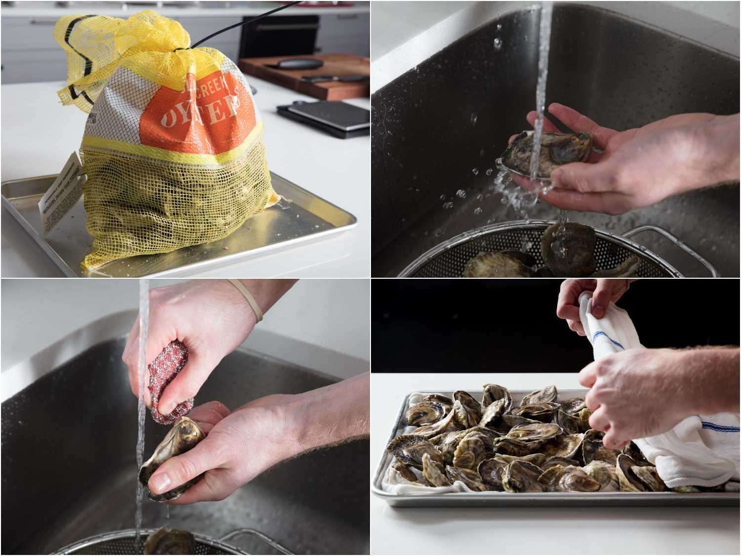 Scrubbing and storing oysters
