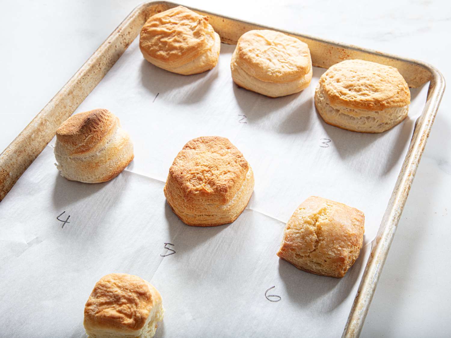 Six baked biscuits arranged on a parchmentlined baking tray numbered for a taste test