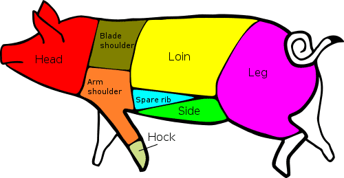 illustration of pork cuts