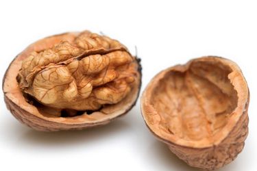 22100414-walnuts.jpg