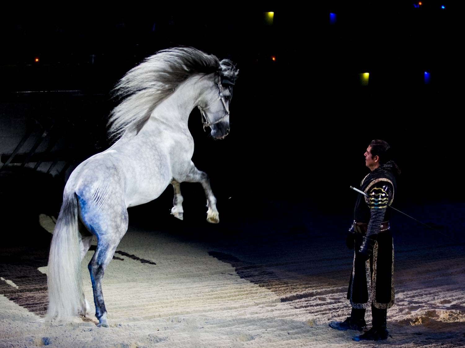 A white horse reared on two legs in a sandy arena, next to a man in medieval garb