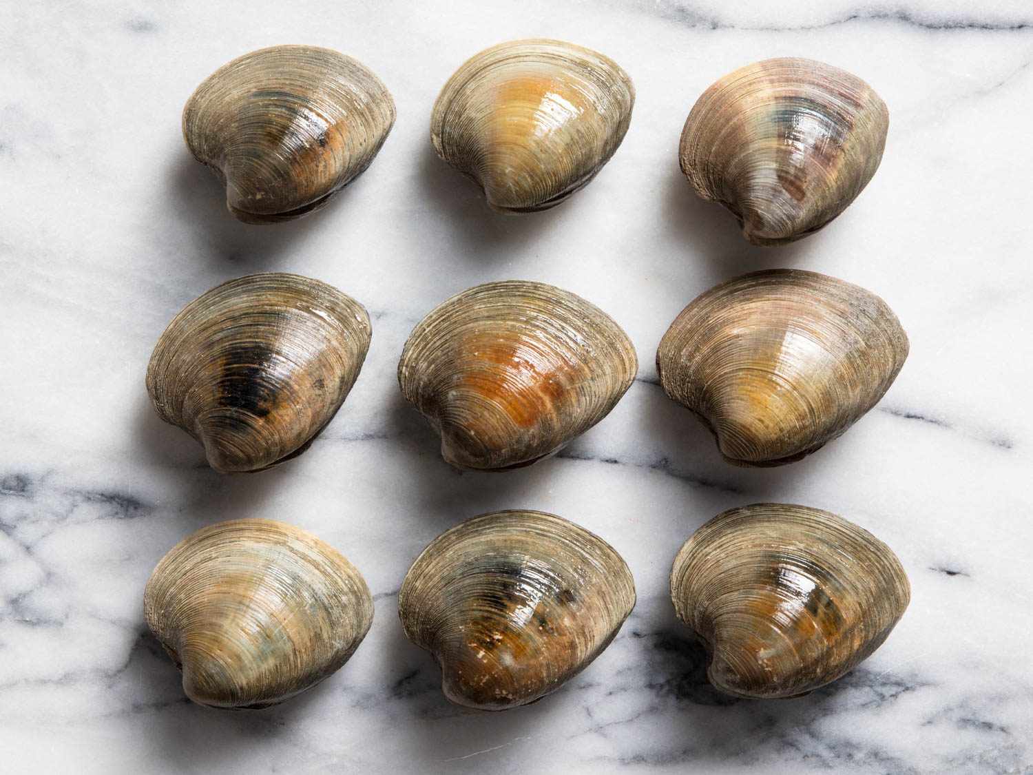 Nine variations of cherrystone clams.