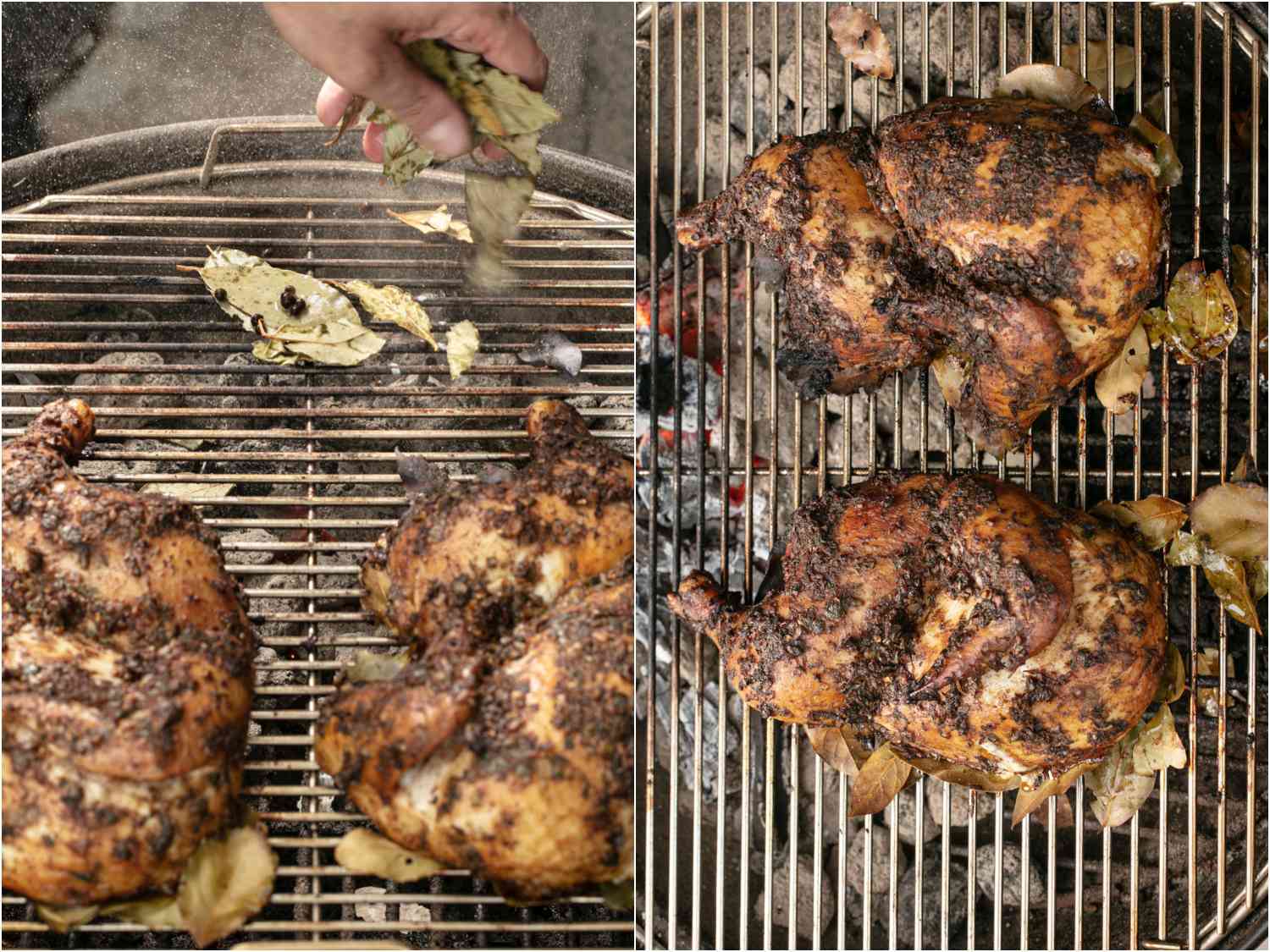placing more bay leaves and allspice berries on the grill; chicken cooking on grill