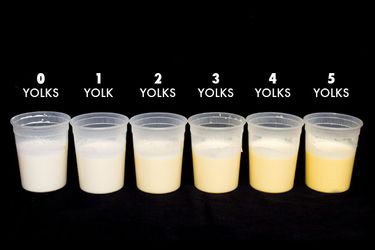 A row of six quart-size deli cups, each holding cream mixed with a different number of egg yolks ranging from 0 yolks to 5 yolks. The liquid inside is more yellow as the number of yolks increases. 