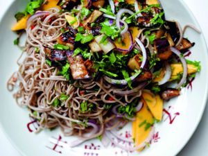 20110324-144031-soba-noodles-with-eggplant-and-mango.jpg