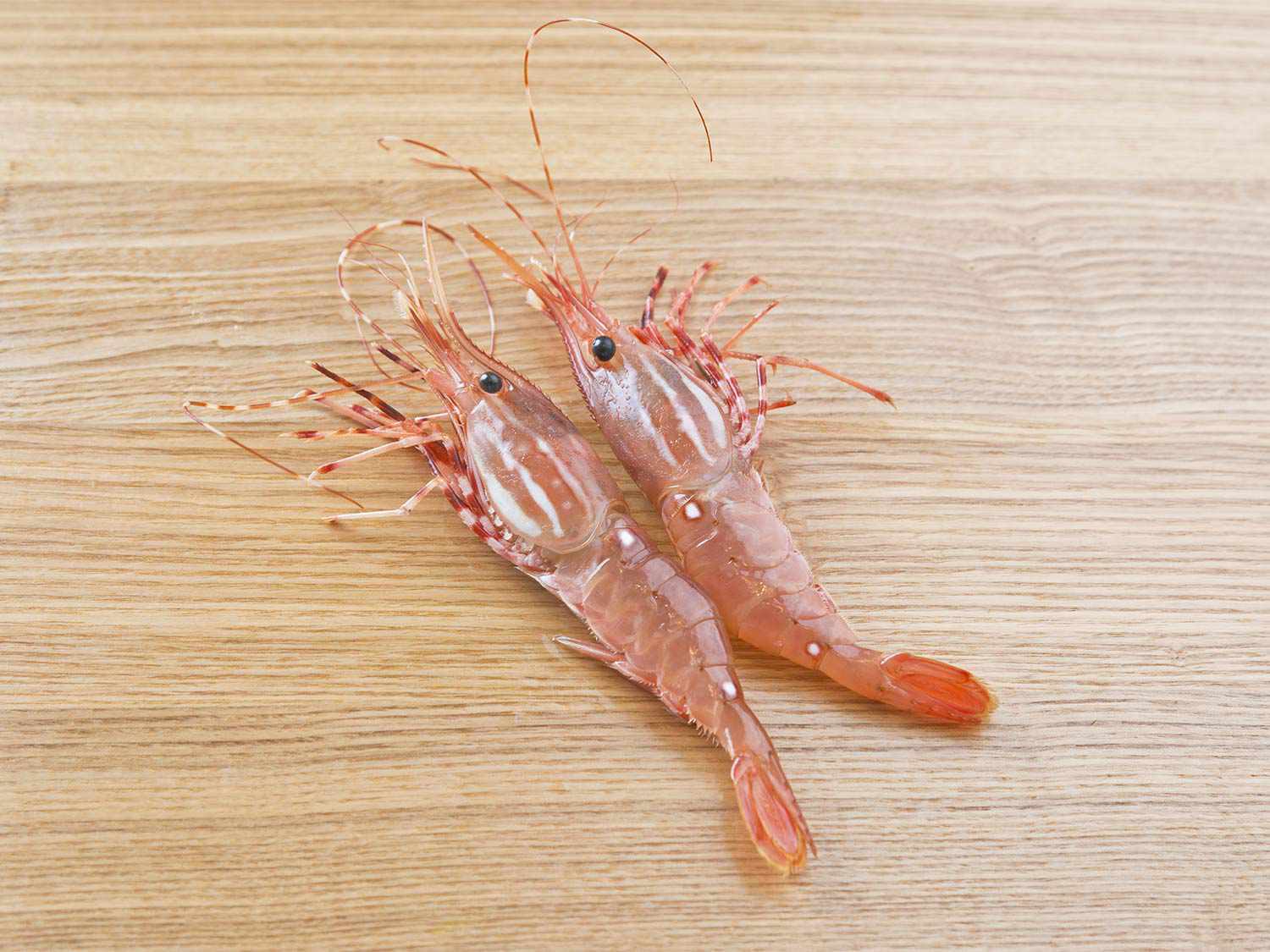 raw spot prawns
