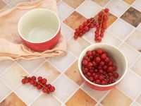 staub ramekins with currants