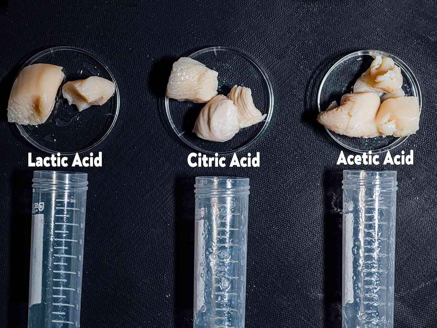 Side by side photos of chicken marinated with different acids then cooked, to show differences in texture