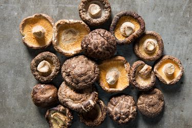 Dried shiitake mushrooms on grey background