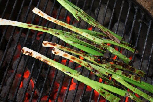 Scallions on the grill with grill marks.