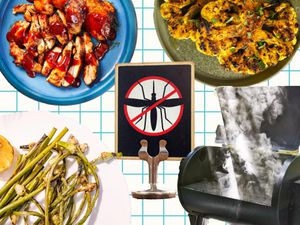 An image with BBQ chicken, cauliflower, garlic scapes, a grill, and a "no mosquitos" sign