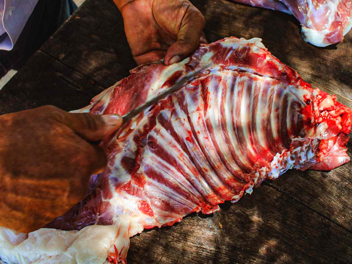 Hands carving rib section of goat 