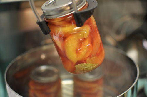 20110911-170002-pickled-nectarines-canner.jpg