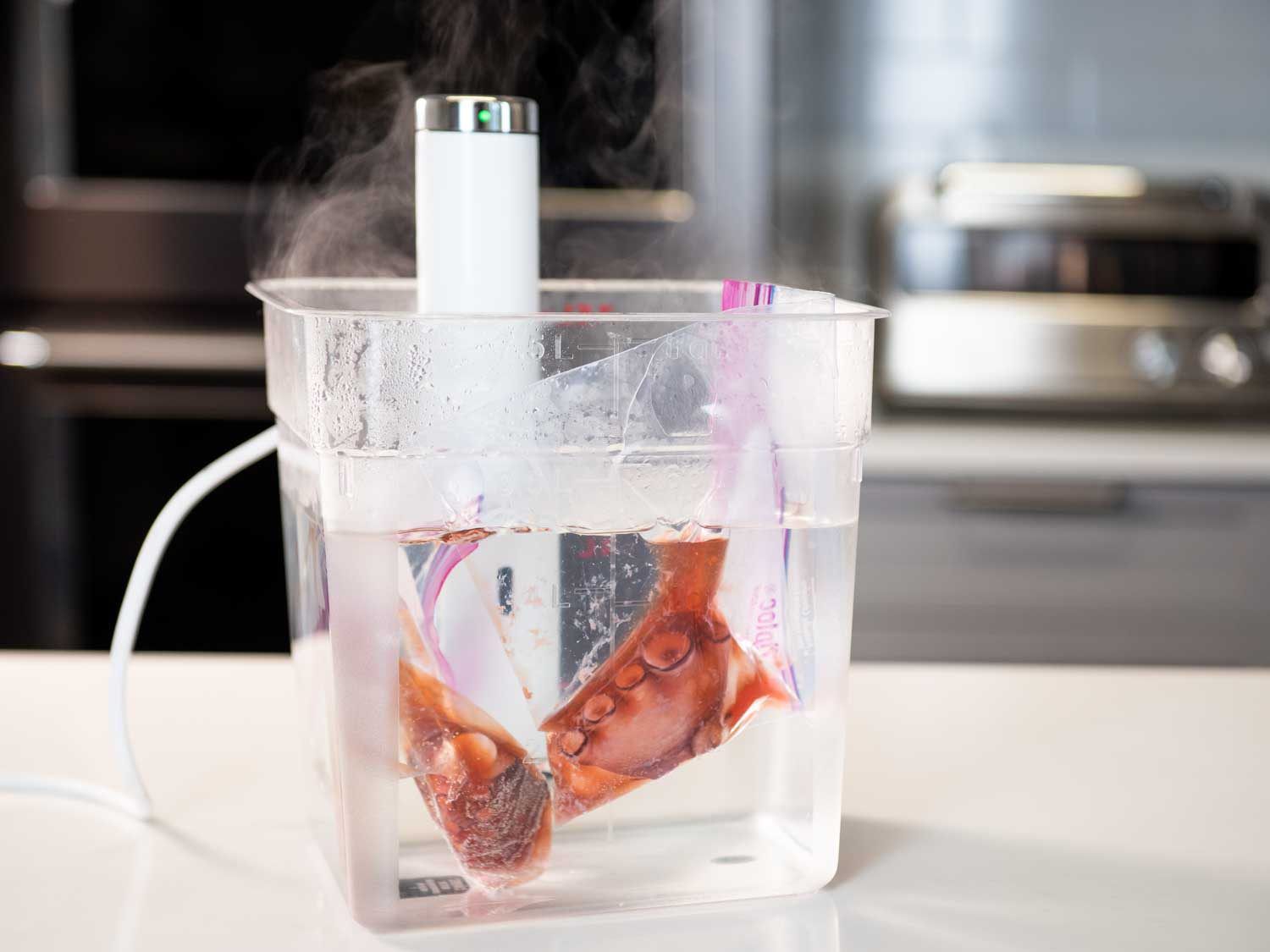 A sous vide setup showing an immersion circulator in a clear container filled with water, and chunks of cooked octopus tentacle floating in zipper-lock bags floating in the water
