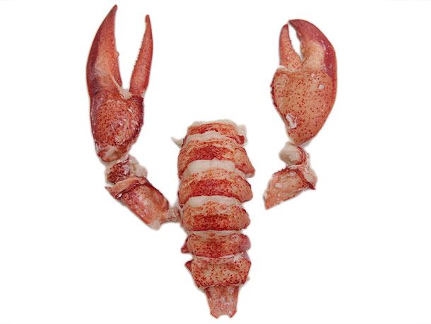 Shelled lobster tail and claws, ready to eat