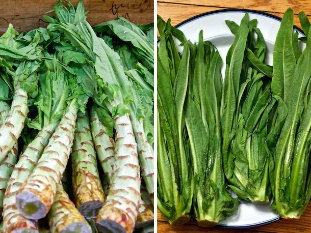 A split image with AA choy stalks on the left and their leaves on the right 