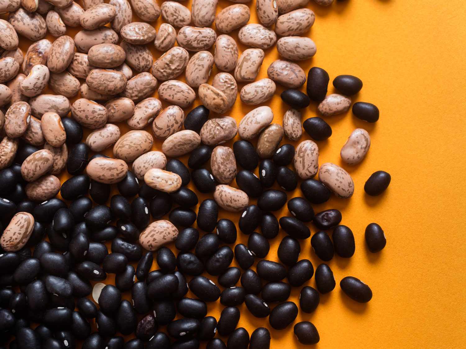 Close overhead shot of dried pinto and black beans against an orange background