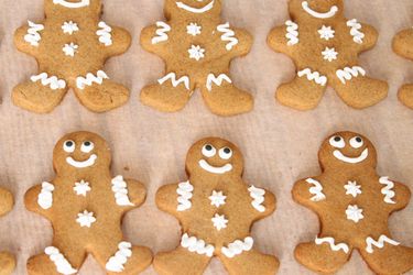 20111213-183050-gftues-gingerbread-primary.jpg
