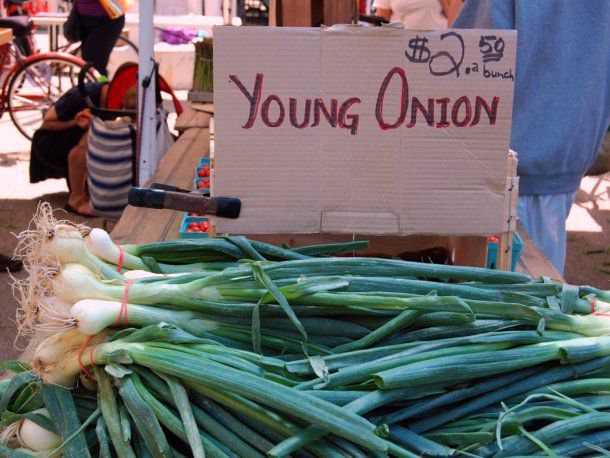Bunches of spring onions on a stand at a farmers market. 