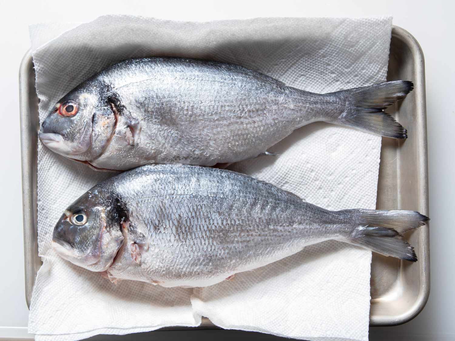 Two fresh whole fish sit on a paper towel on a tray. Their skin gleams, and their eyes are plump, two visual signs of freshness.