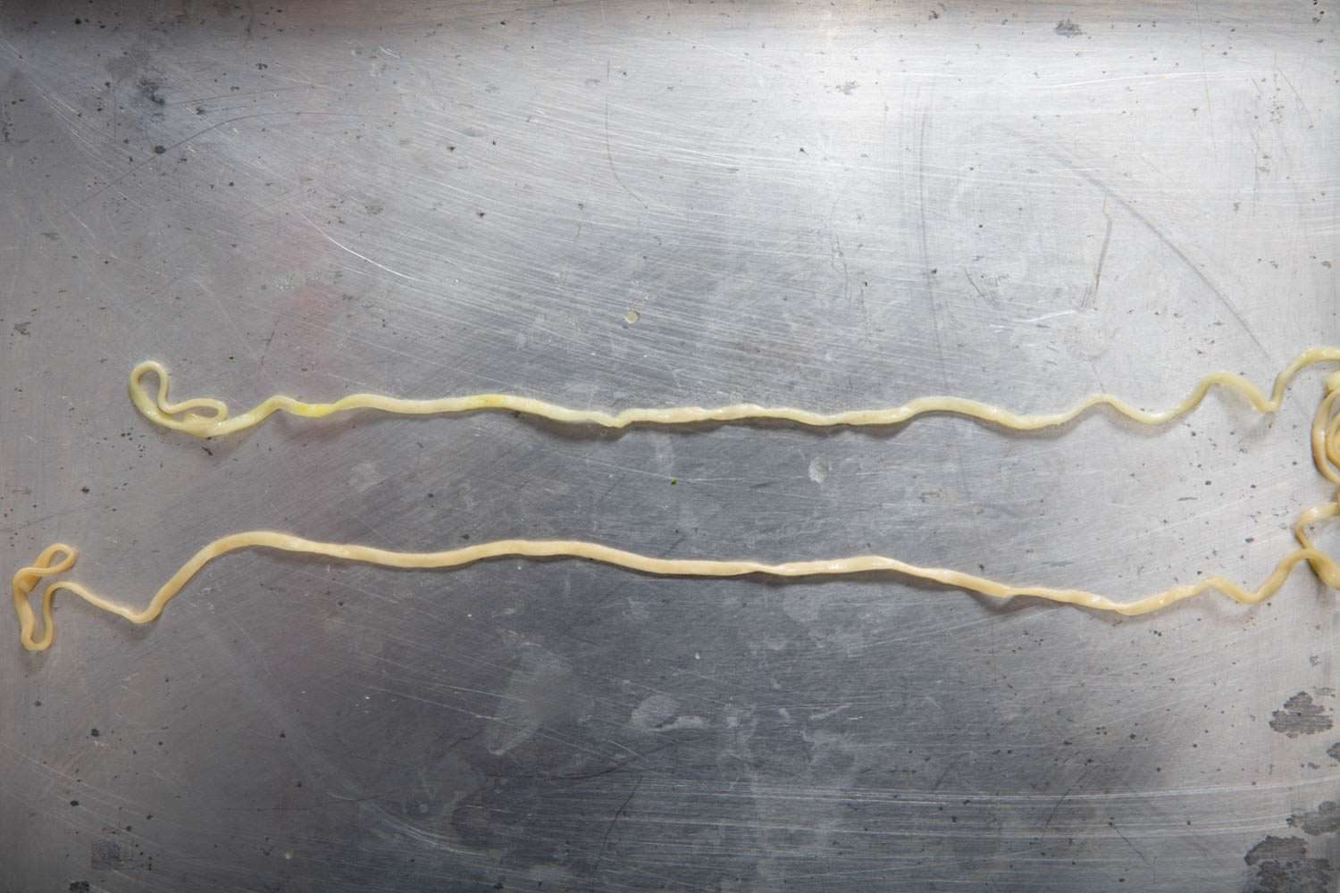 Noodle from American Chicken Cup Noodles (top) compared with noodle from original Japanese Cup Noodle noodle (bottom) (Swapped cup test)